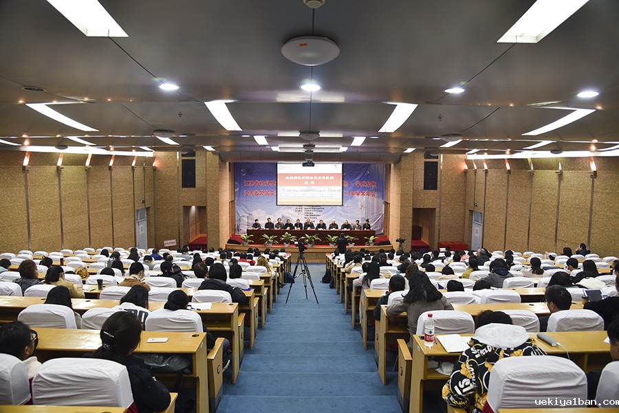 省社科界第十二届学术大会外国文学专场学术聚焦在盐城召开