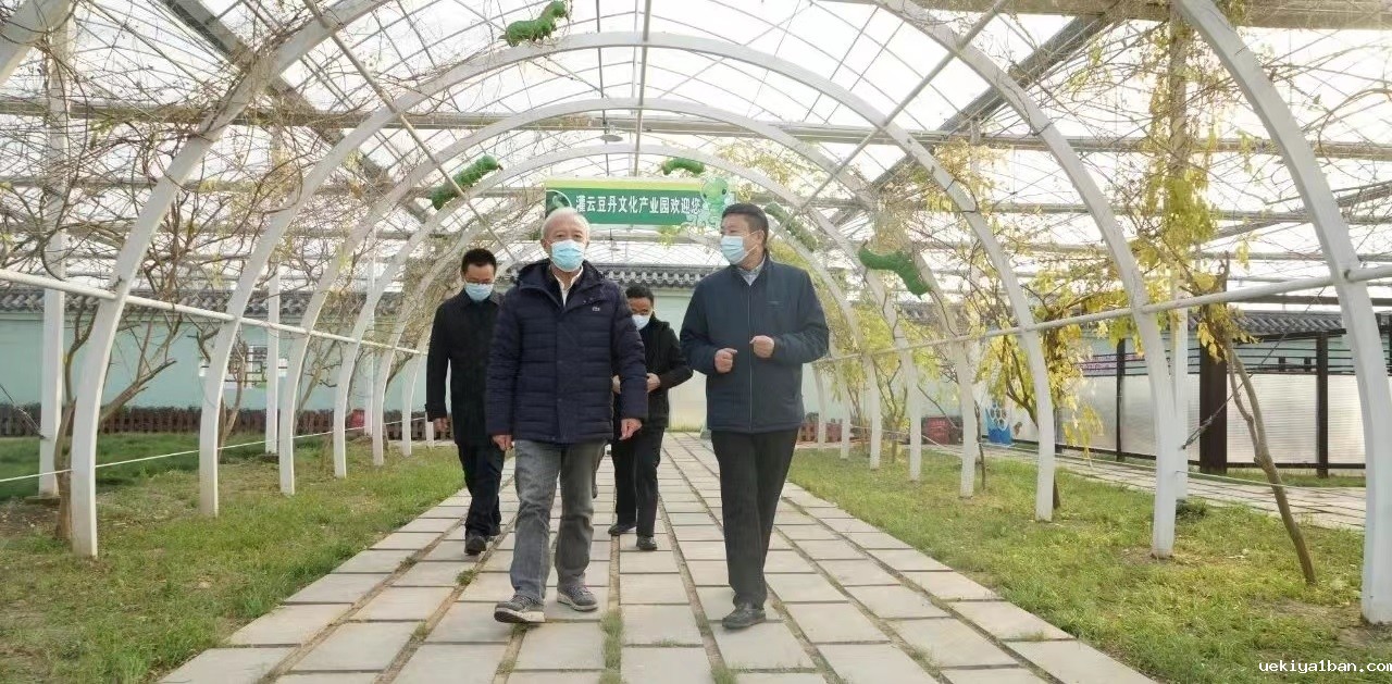 省农村经济学会功能型党支部学习交流活动在灌云成功举办