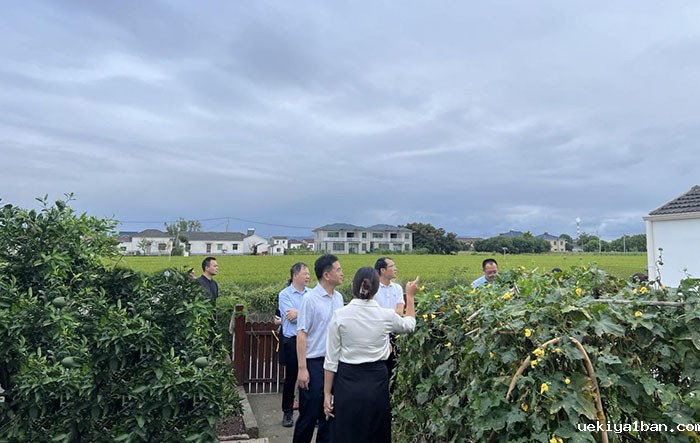 竞技宝官网最新入口在哪组织开展《中国式现代化江苏新实践研究丛书》课题调研