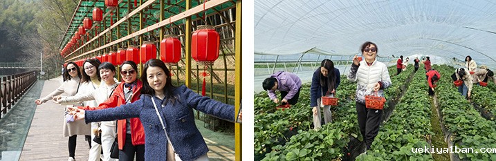 竞技宝官网最新入口在哪举办“三八”国际妇女节主题活动