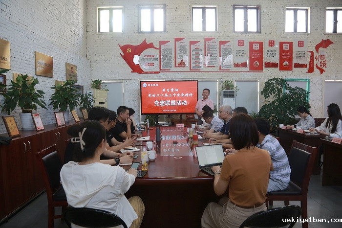 江苏苏禾社会治理现代化研究院举办党建联盟共建活动