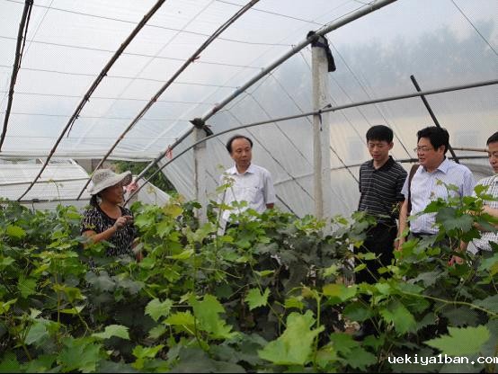 竞技宝官网最新入口在哪携手南京农业大学赴灌南开展“三解三促”活动剪影