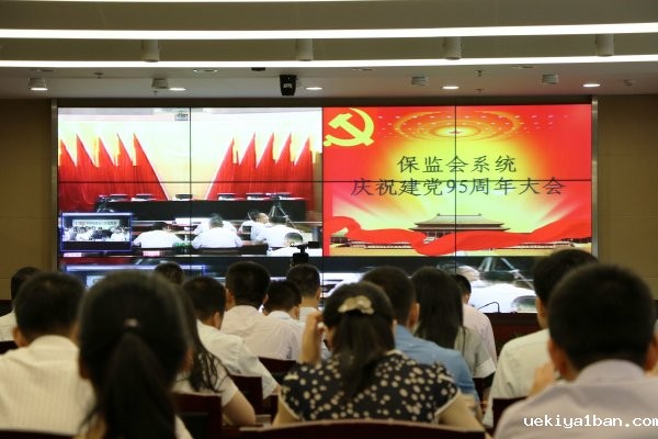 省保险学会组织开展建党95周年系列纪念活动
