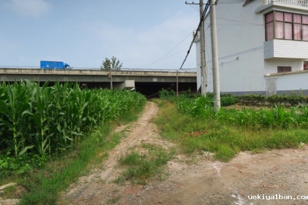 竞技宝官网最新入口在哪获省扶贫工作领导小组表彰